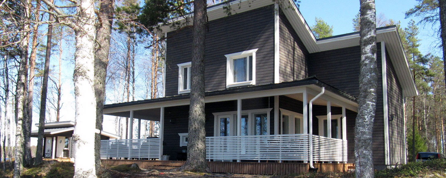 Leponiemen mökki ulkoa