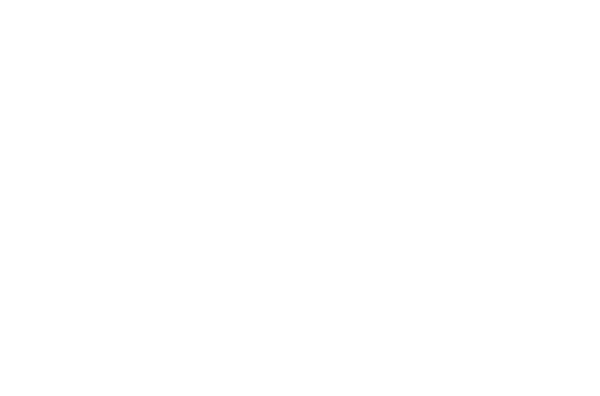 leponiemen-mokki-icon Leponiemen mökki piirros